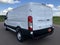 2026 Ford Transit Cargo Van T-250 130" Low Rf 9150 GVWR AWD
