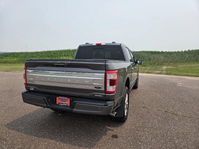2022 Ford F-150 Platinum