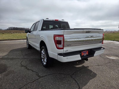 2023 Ford F-150 Limited