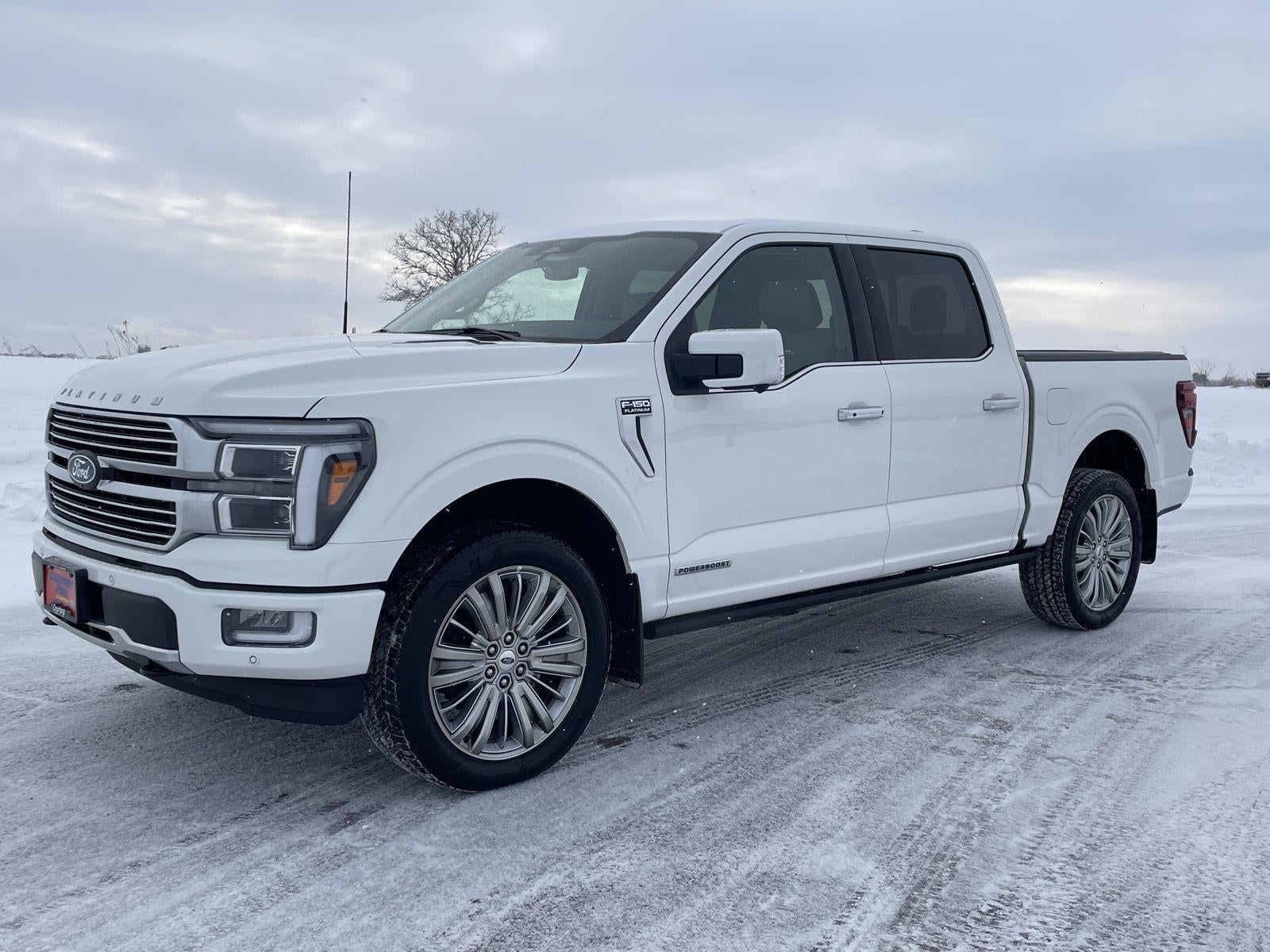 2025 Ford F-150 Platinum