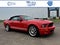 2007 Ford Mustang Shelby GT500