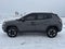 2017 Jeep Compass Trailhawk